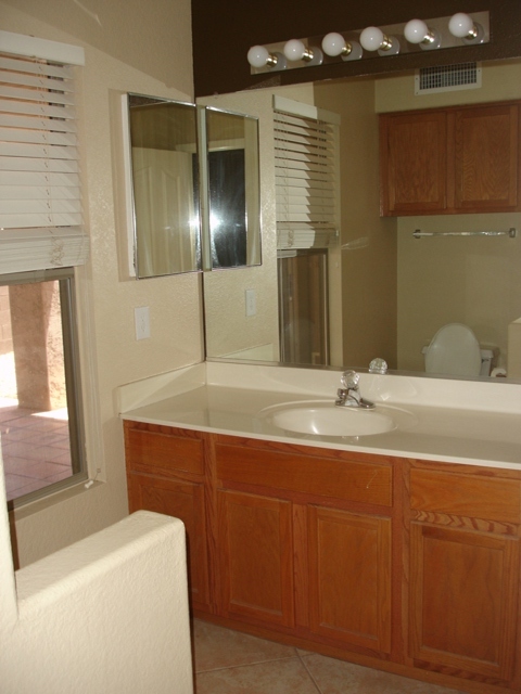 4811 East Mossman Road Phoenix, AZ 85054 - Photo 6 of 11 Master Bath