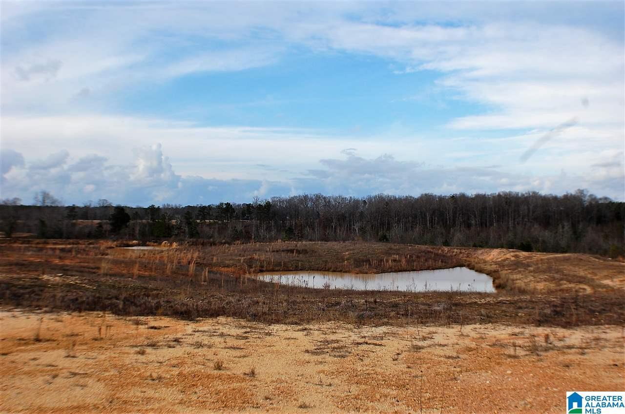 0 County Road 25, Unit 1 Jemison, AL 35085 - Photo 13 of 19