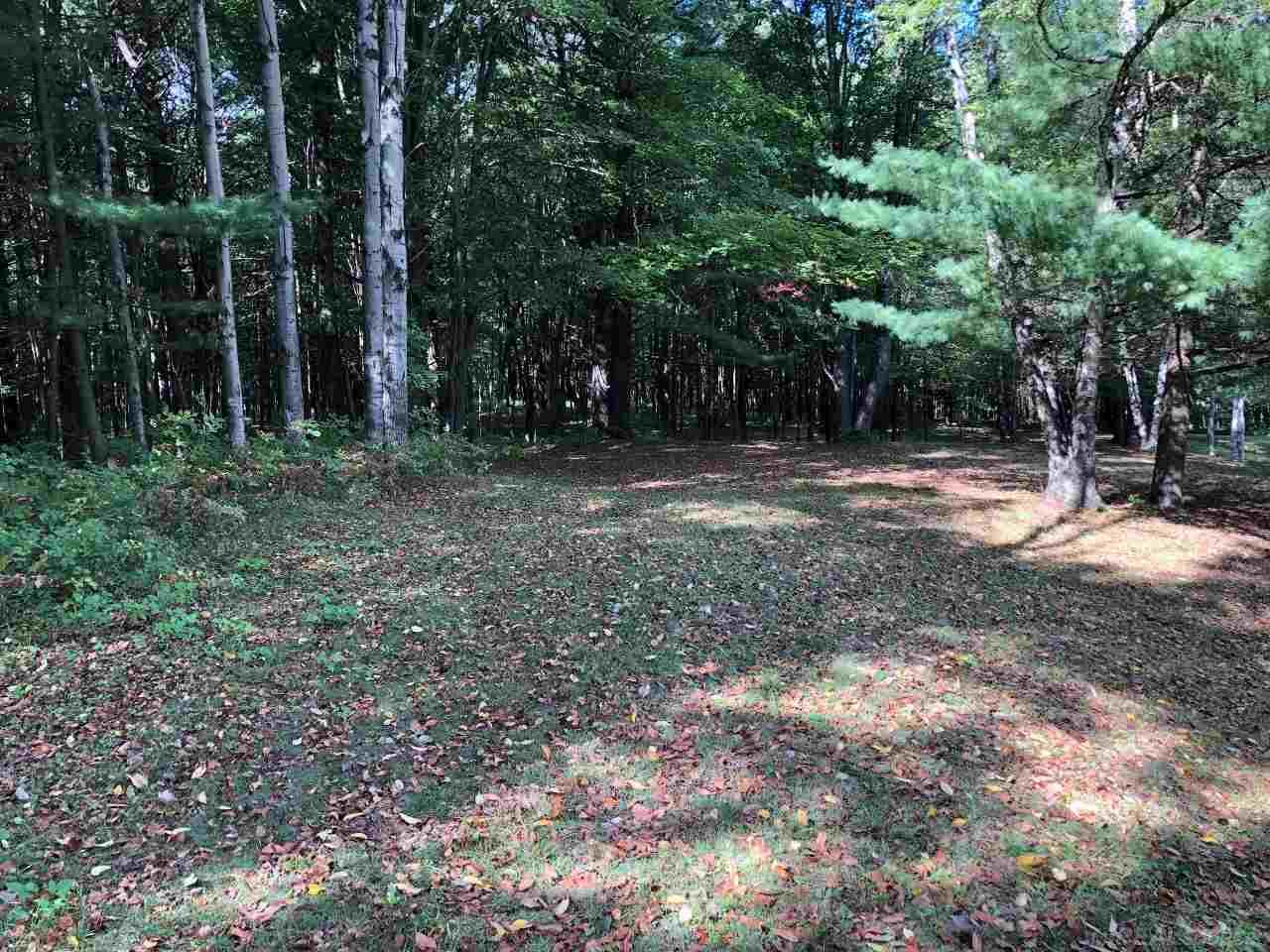 4335 Wheeler Road Snover, MI 48472 - Photo 14 of 32 31361979-13.JPG