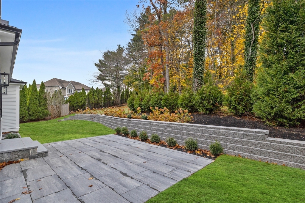 247 Broad Meadow Road Needham, MA 02492 - Photo 32 of 40 a view of a park with large trees