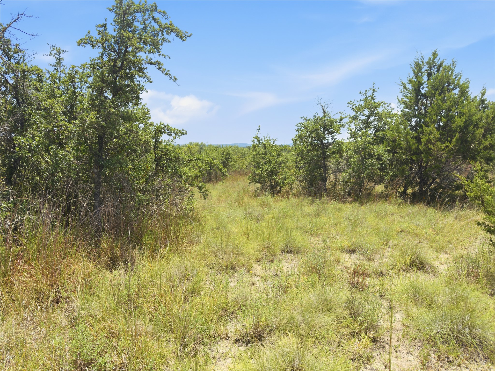963 Summit Ridge Trail Johnson City, TX 78636 - Photo 12 of 30 Vast natural terrain with mature trees provides an ideal backdrop for a secluded private retreat.