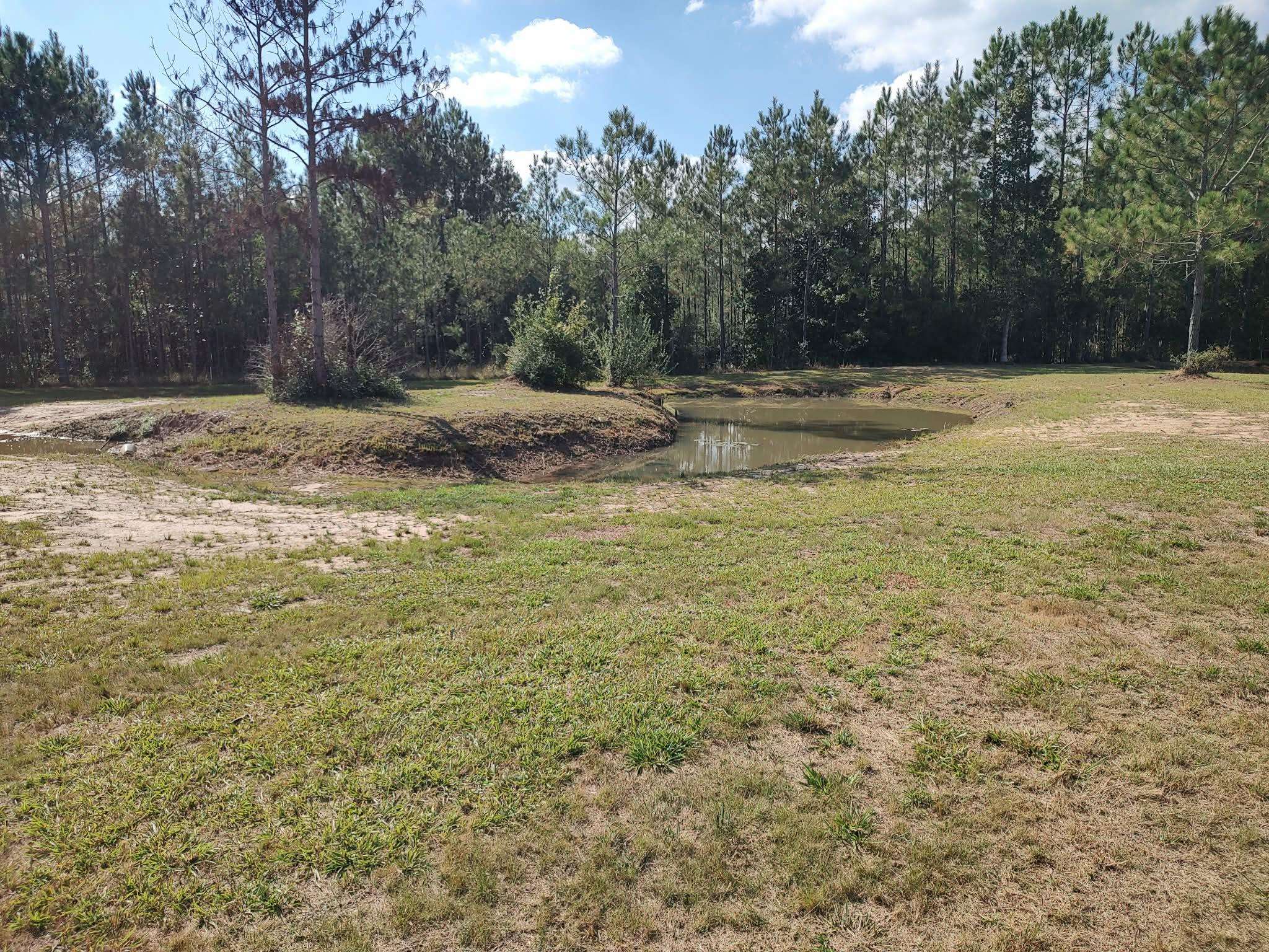 10019 Reed Ranch Road Silsbee, TX 77656 - Photo 4 of 6