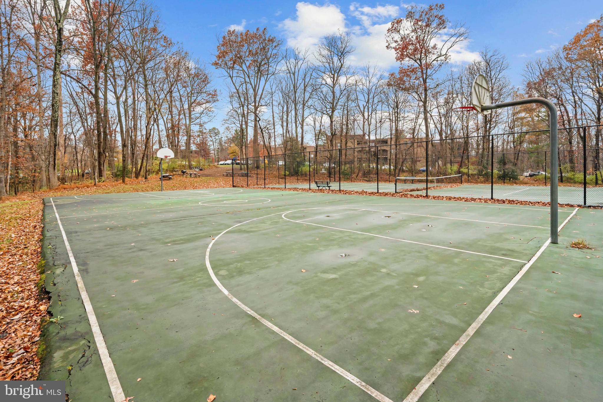 11200 Chestnut Grove Square, Unit 203 Reston, VA 20190 - Photo 39 of 41 a view of yard with trees