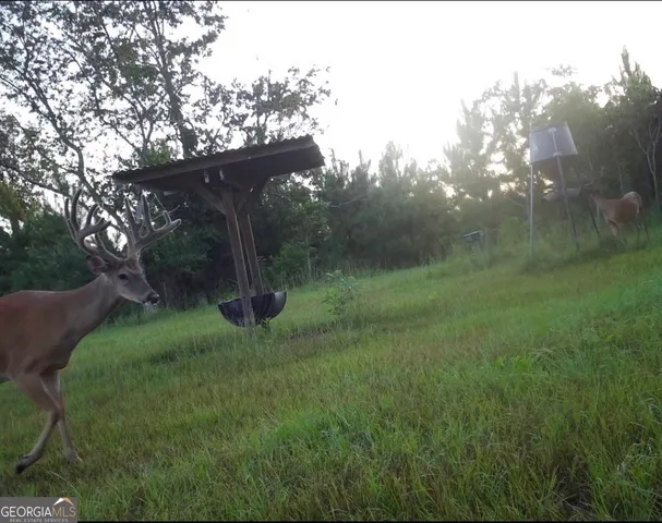 $5,999,999 | 0 Fall Line High Fence, Ellaville, GA 31806