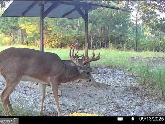 $5,999,999 | 0 Fall Line High Fence, Ellaville, GA 31806