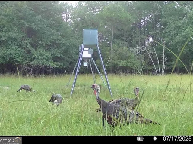 $5,999,999 | 0 Fall Line High Fence, Ellaville, GA 31806