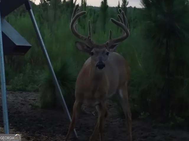 $5,999,999 | 0 Fall Line High Fence, Ellaville, GA 31806