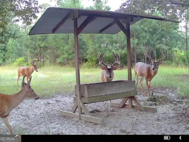 $5,999,999 | 0 Fall Line High Fence, Ellaville, GA 31806