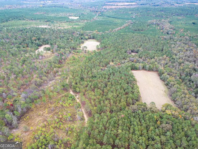 a view of a lake from a yard