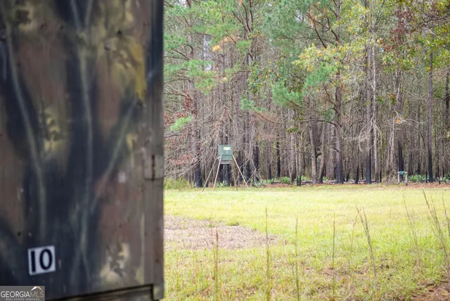 a view of outdoor space and tree