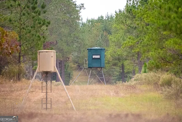 an aerial view of houses covered in trees