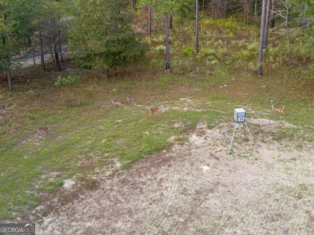 a view of a lake in middle of forest