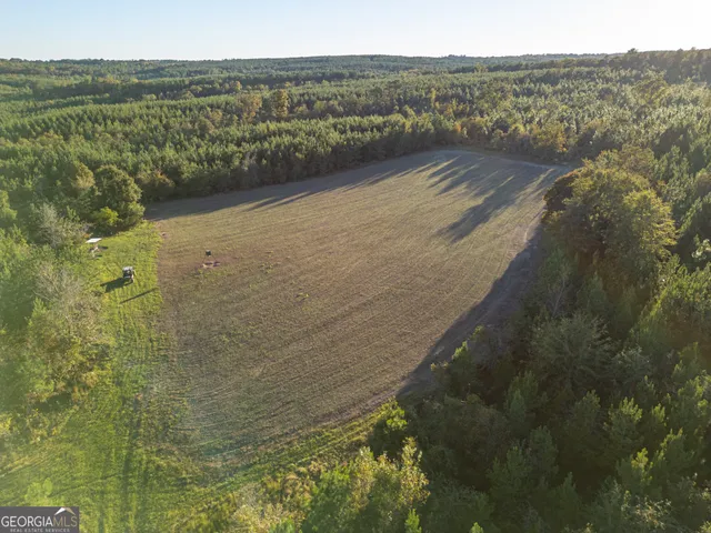 a view of a dry yard with trees