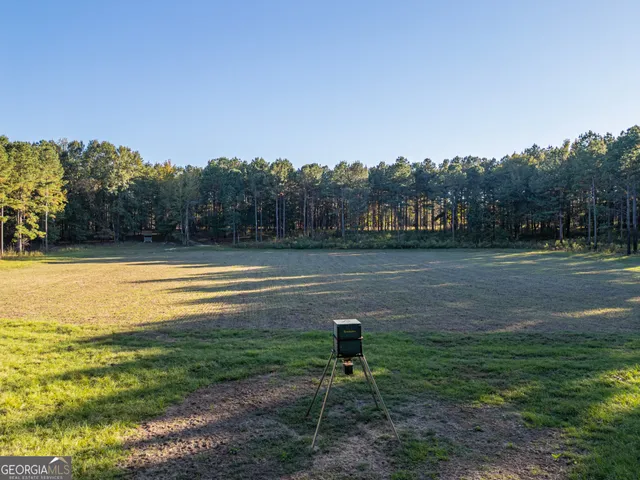 a view of yard with green space