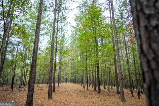 $5,999,999 | 0 Fall Line High Fence, Ellaville, GA 31806