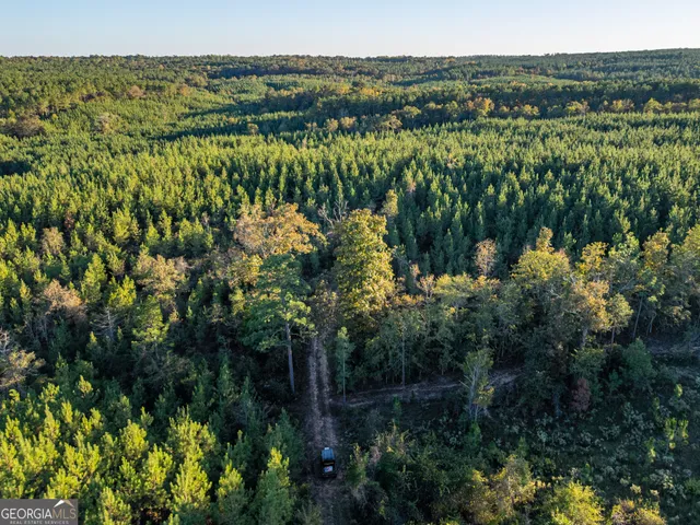 $5,999,999 | 0 Fall Line High Fence, Ellaville, GA 31806