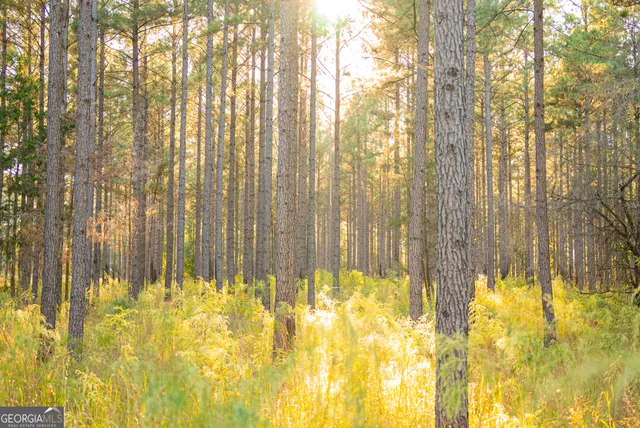 $5,999,999 | 0 Fall Line High Fence, Ellaville, GA 31806