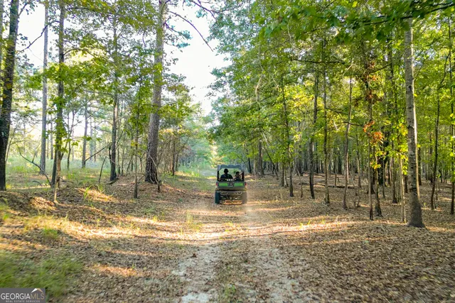 $5,999,999 | 0 Fall Line High Fence, Ellaville, GA 31806