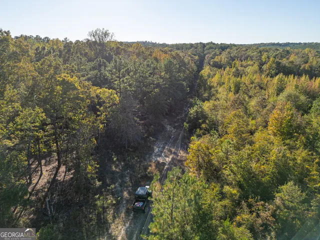 $5,999,999 | 0 Fall Line High Fence, Ellaville, GA 31806