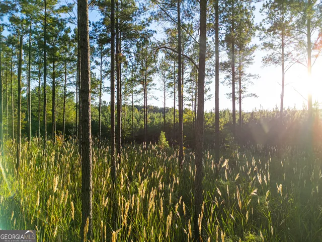 $5,999,999 | 0 Fall Line High Fence, Ellaville, GA 31806