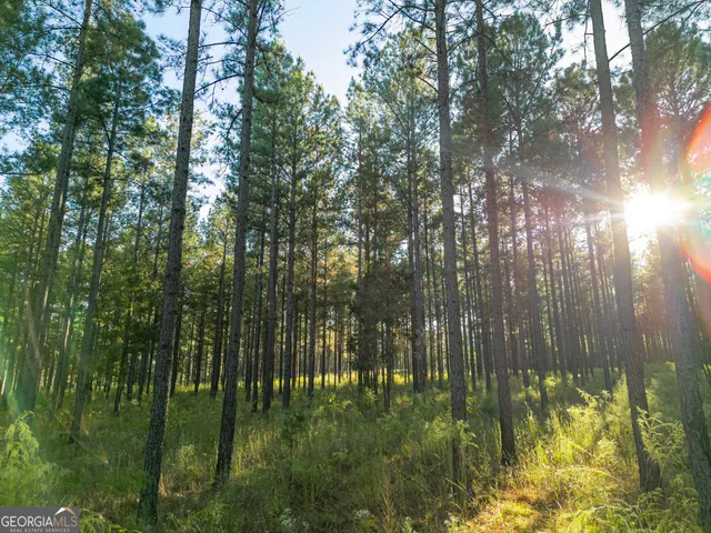 $5,999,999 | 0 Fall Line High Fence, Ellaville, GA 31806