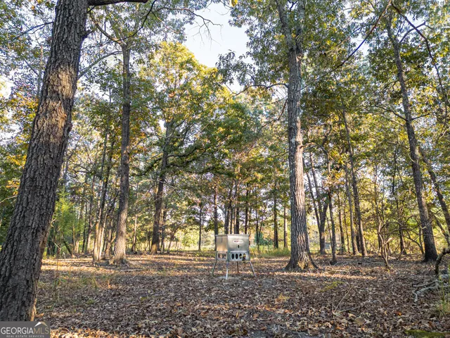 $5,999,999 | 0 Fall Line High Fence, Ellaville, GA 31806