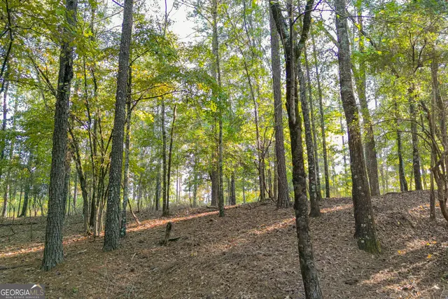 $5,999,999 | 0 Fall Line High Fence, Ellaville, GA 31806