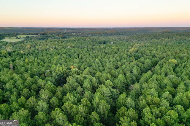 $5,999,999 | 0 Fall Line High Fence, Ellaville, GA 31806