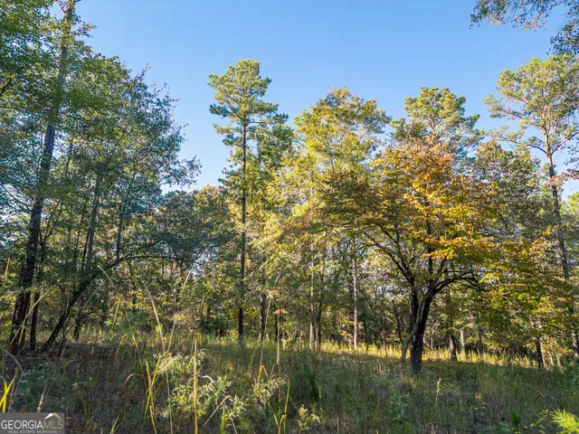 $5,999,999 | 0 Fall Line High Fence, Ellaville, GA 31806