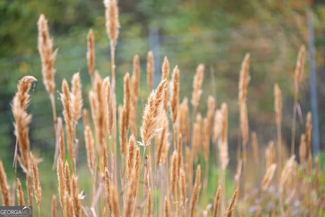 $5,999,999 | 0 Fall Line High Fence, Ellaville, GA 31806