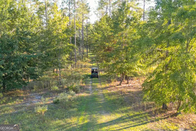 $5,999,999 | 0 Fall Line High Fence, Ellaville, GA 31806