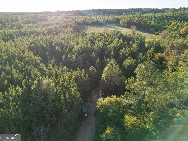 $5,999,999 | 0 Fall Line High Fence, Ellaville, GA 31806