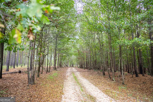 $5,999,999 | 0 Fall Line High Fence, Ellaville, GA 31806