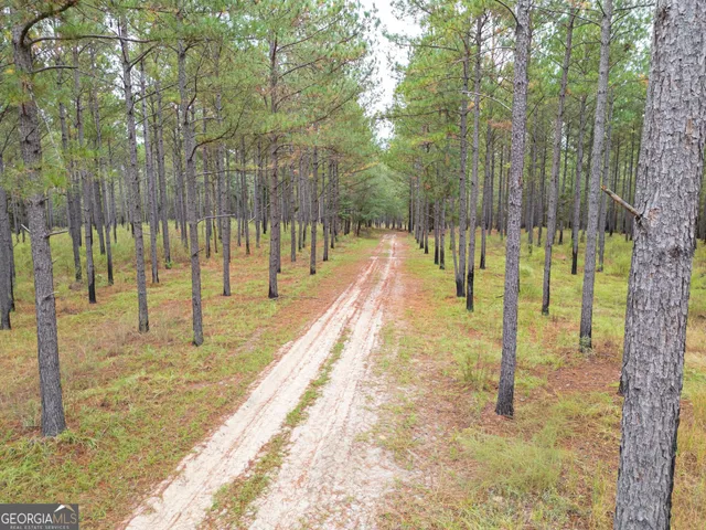 $5,999,999 | 0 Fall Line High Fence, Ellaville, GA 31806