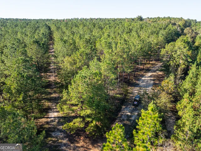 $5,999,999 | 0 Fall Line High Fence, Ellaville, GA 31806