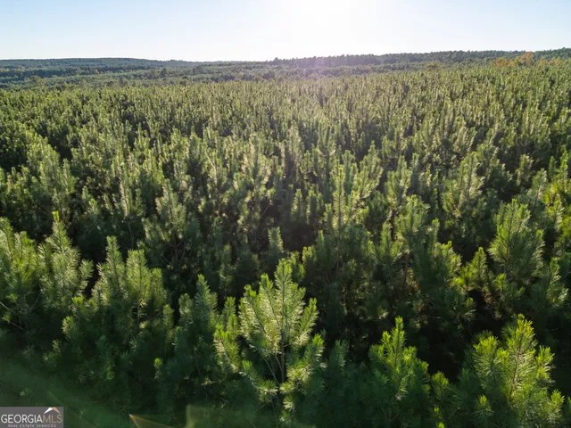 $5,999,999 | 0 Fall Line High Fence, Ellaville, GA 31806