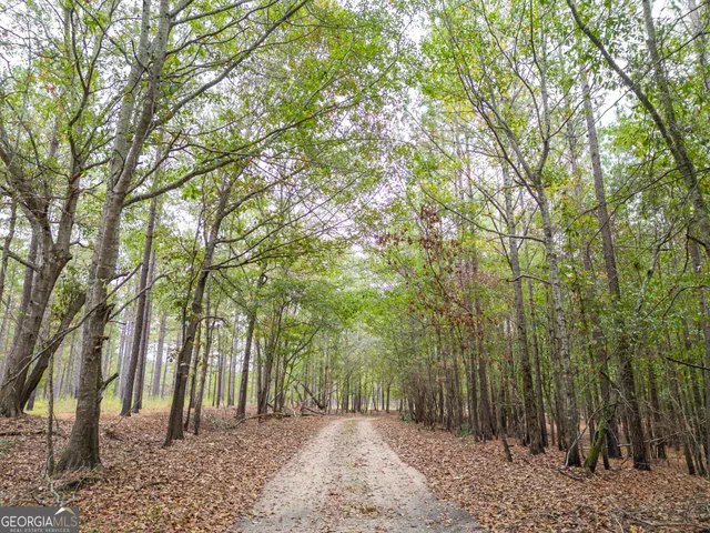 $5,999,999 | 0 Fall Line High Fence, Ellaville, GA 31806