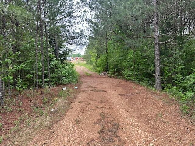55 Spring Place Road Northeast Cartersville, GA 30121 - Photo 5 of 14 a view of a forest with trees in the background