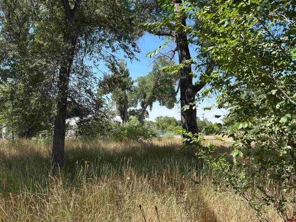 a view of a lake with a tree