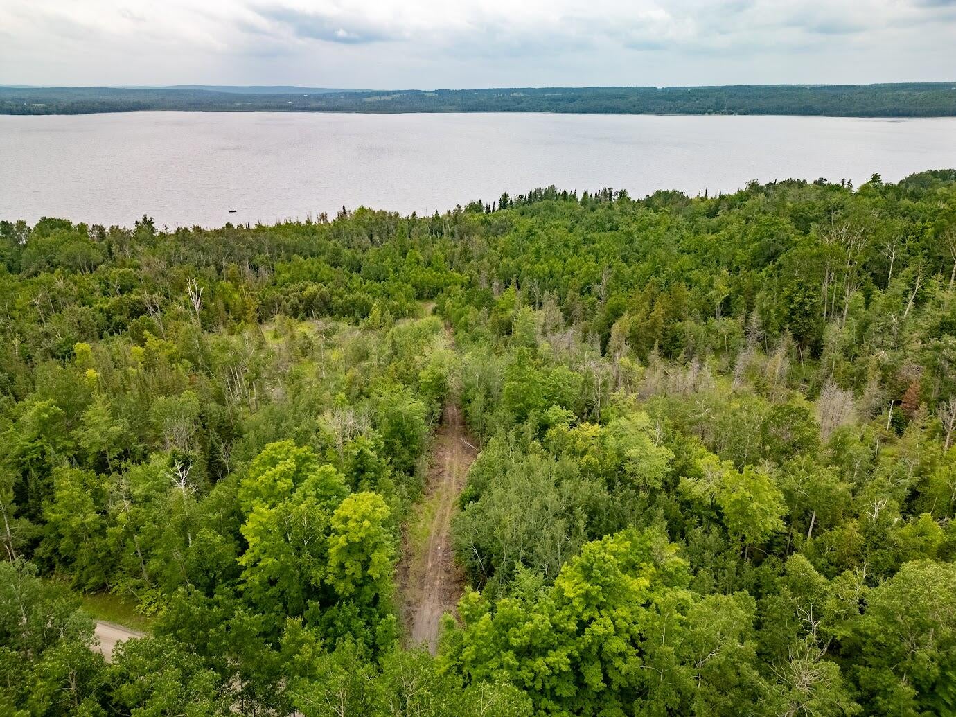 56.7-ac Emils Landing Road Hillman, MI 49746 - Photo 15 of 15 Gallery Image 15