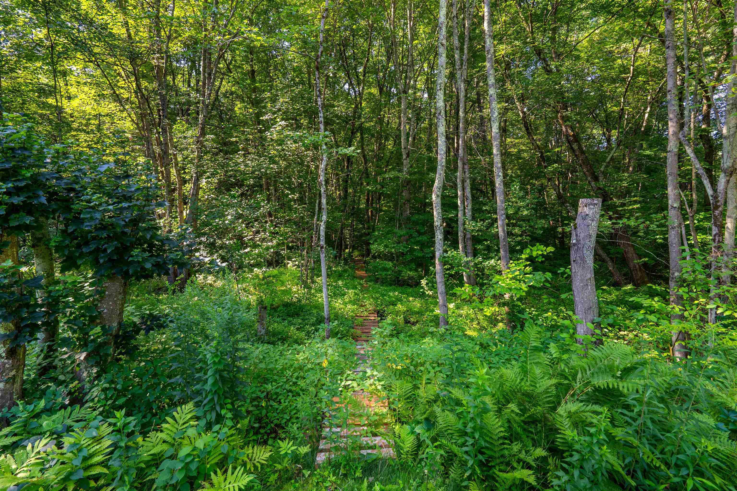 3 Kennedy Drive Pelham, NH 03076 - Photo 36 of 42