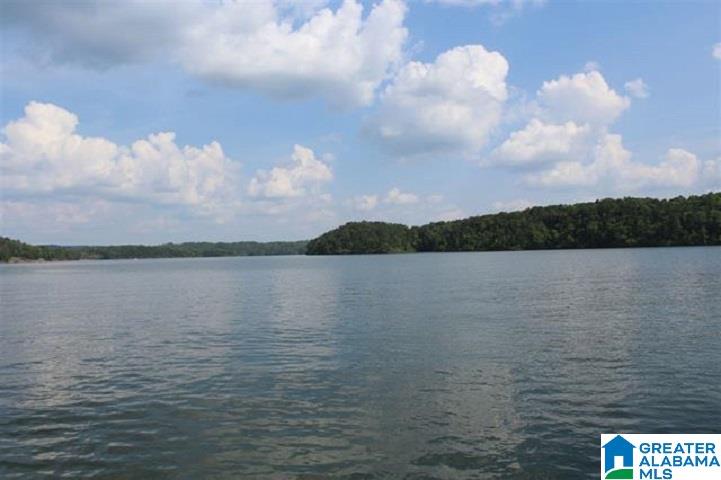 Red Eye Lane, Unit 24 Wedowee, AL 36278 - Photo 4 of 5
