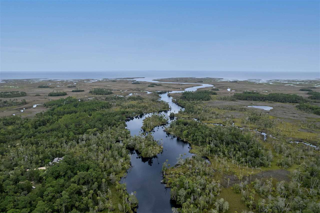 4678 Gator Road Lamont, FL 32336 - Photo 22 of 36 Gallery Image 22