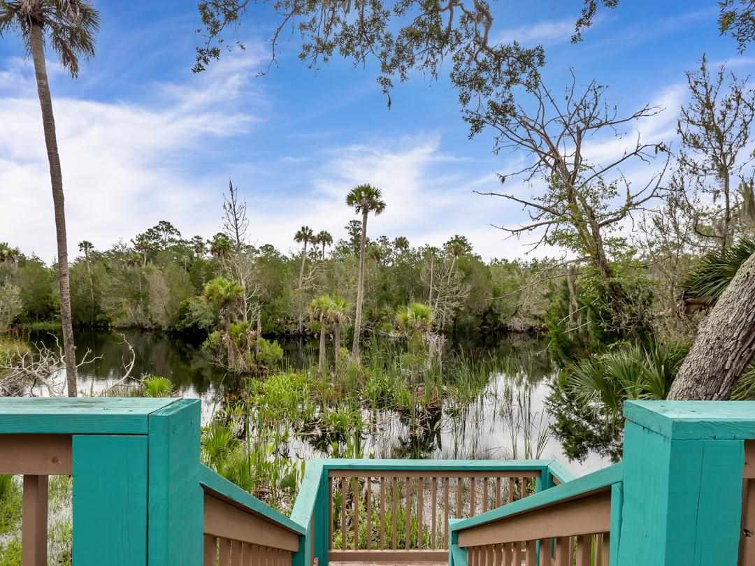 4678 Gator Road Lamont, FL 32336 - Photo 6 of 36 Gallery Image 6