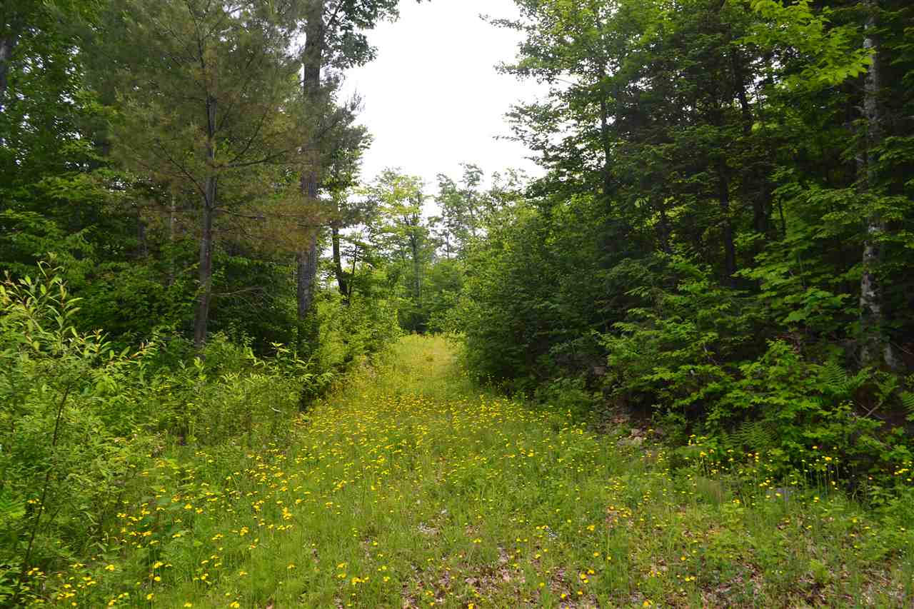254 Pike Hill Road Hebron, NH 03241 - Photo 2 of 18