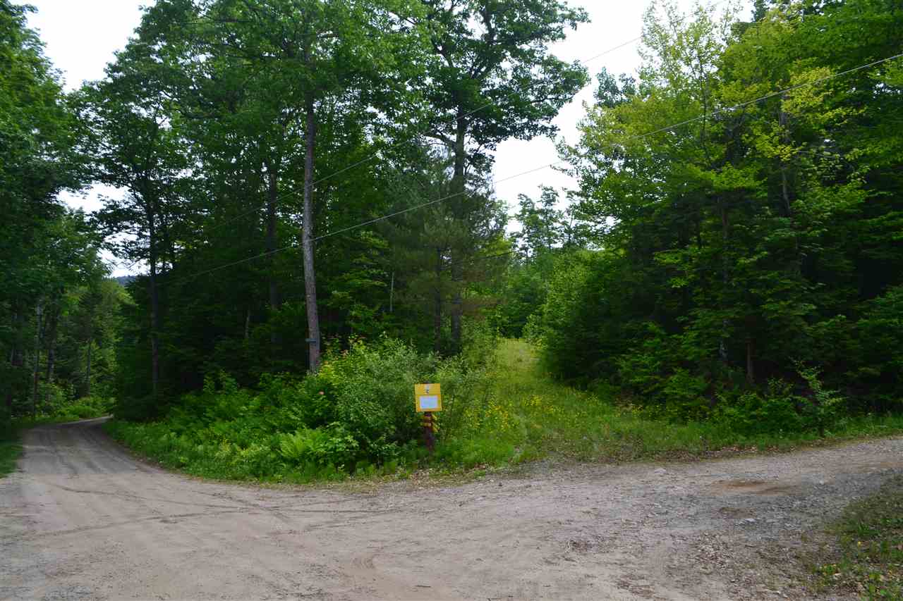 254 Pike Hill Road Hebron, NH 03241 - Photo 5 of 18