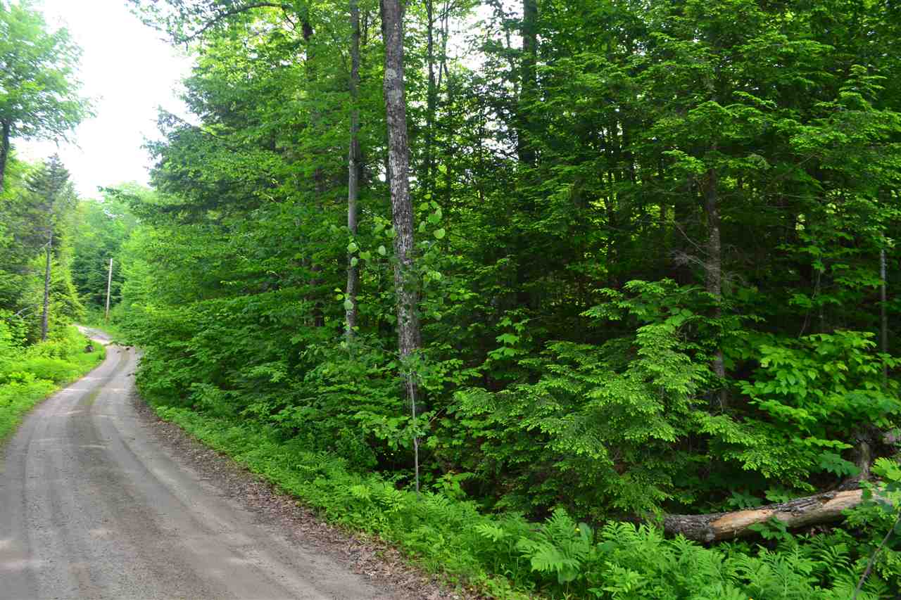 254 Pike Hill Road Hebron, NH 03241 - Photo 6 of 18