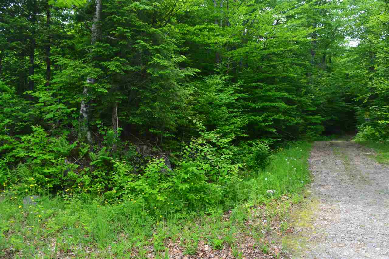 254 Pike Hill Road Hebron, NH 03241 - Photo 7 of 18