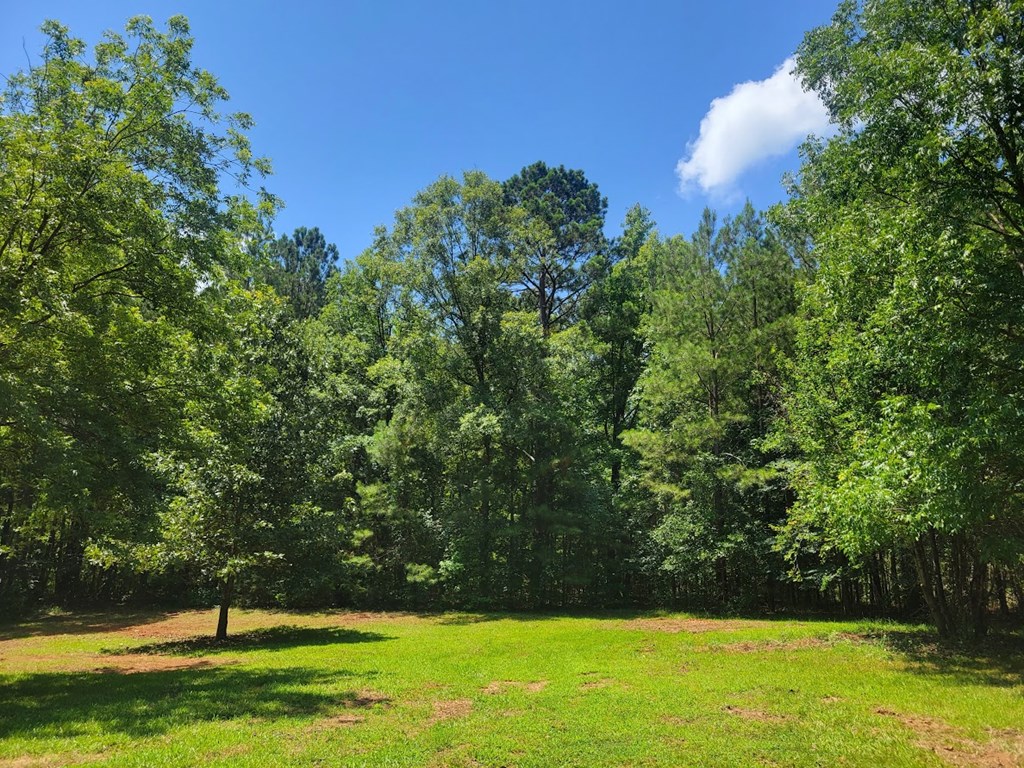 1114 Reedy Creek Road Bradley, SC 29819 - Photo 35 of 59