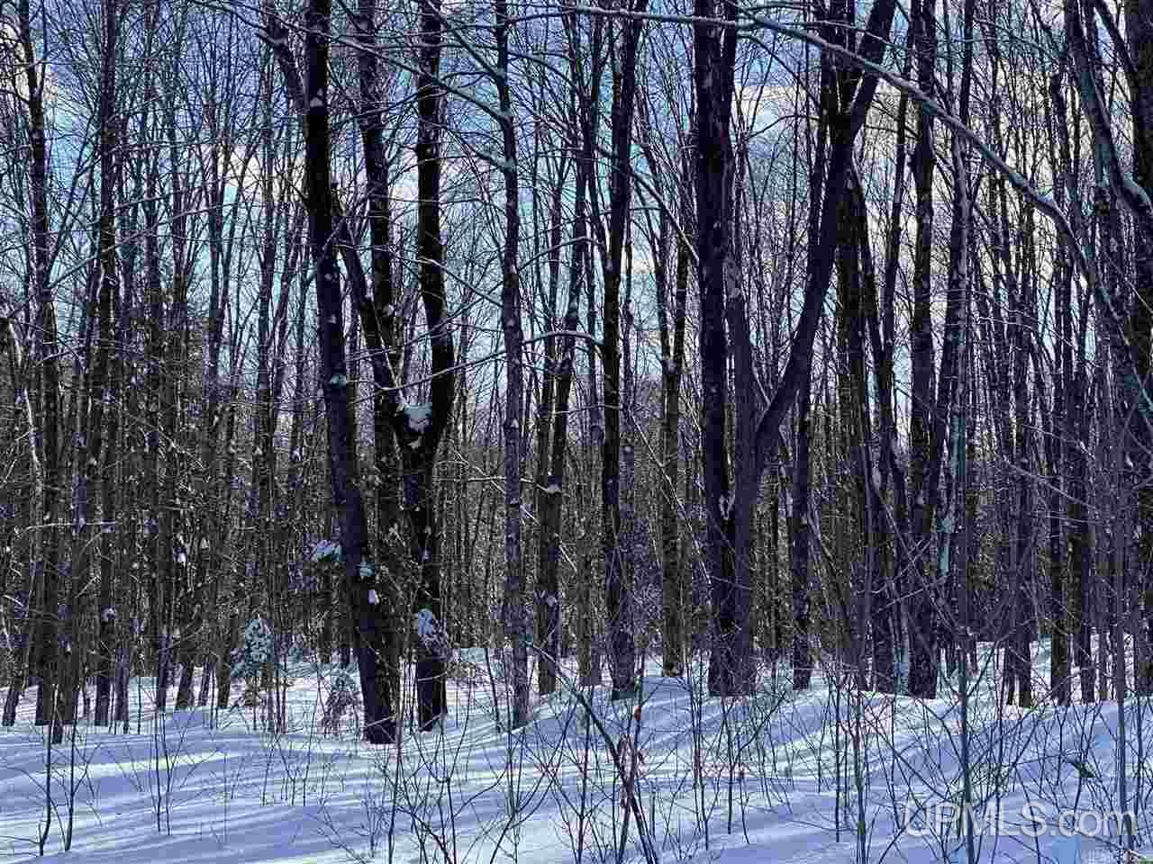 On On Chaney Cove Road, Unit LOT 1 Bessemer, MI 49911 - Photo 22 of 28